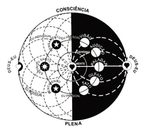 Consciência Plena Consciência Plena